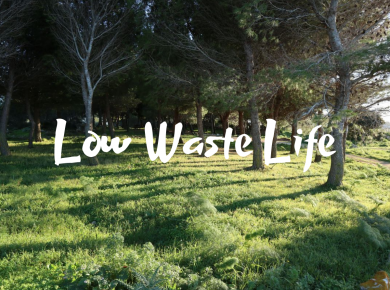 low waste
